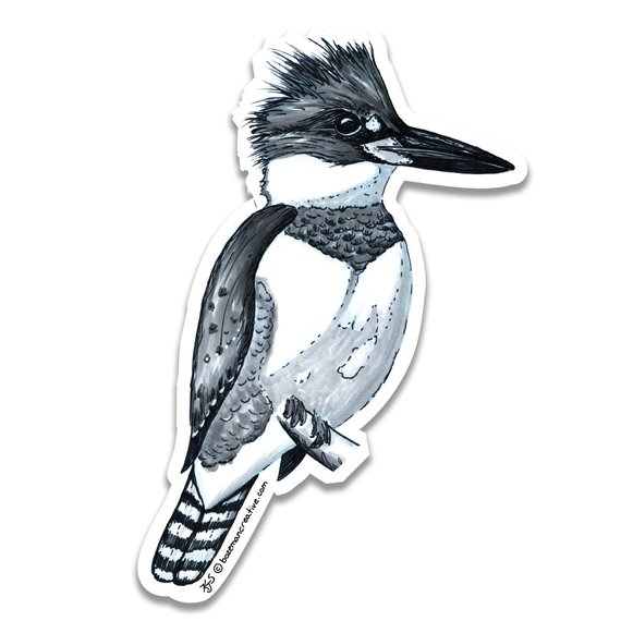 570x570 Kingfisher Sketch Sticker Etsy - Kingfisher Sketch