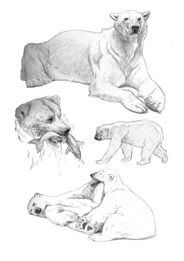 600x850 24 Best Images Scribble, Sketches And Graphics - Kingly Figure Sketch