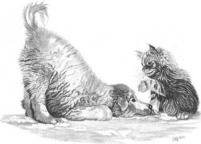 400x287 Playful Puppy And Kitten Pencil Sketch - Kitten Pencil Sketch