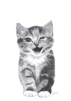 236x333 The 23 Best Pencil Drawings Images Paintings - Kitten Pencil Sketch