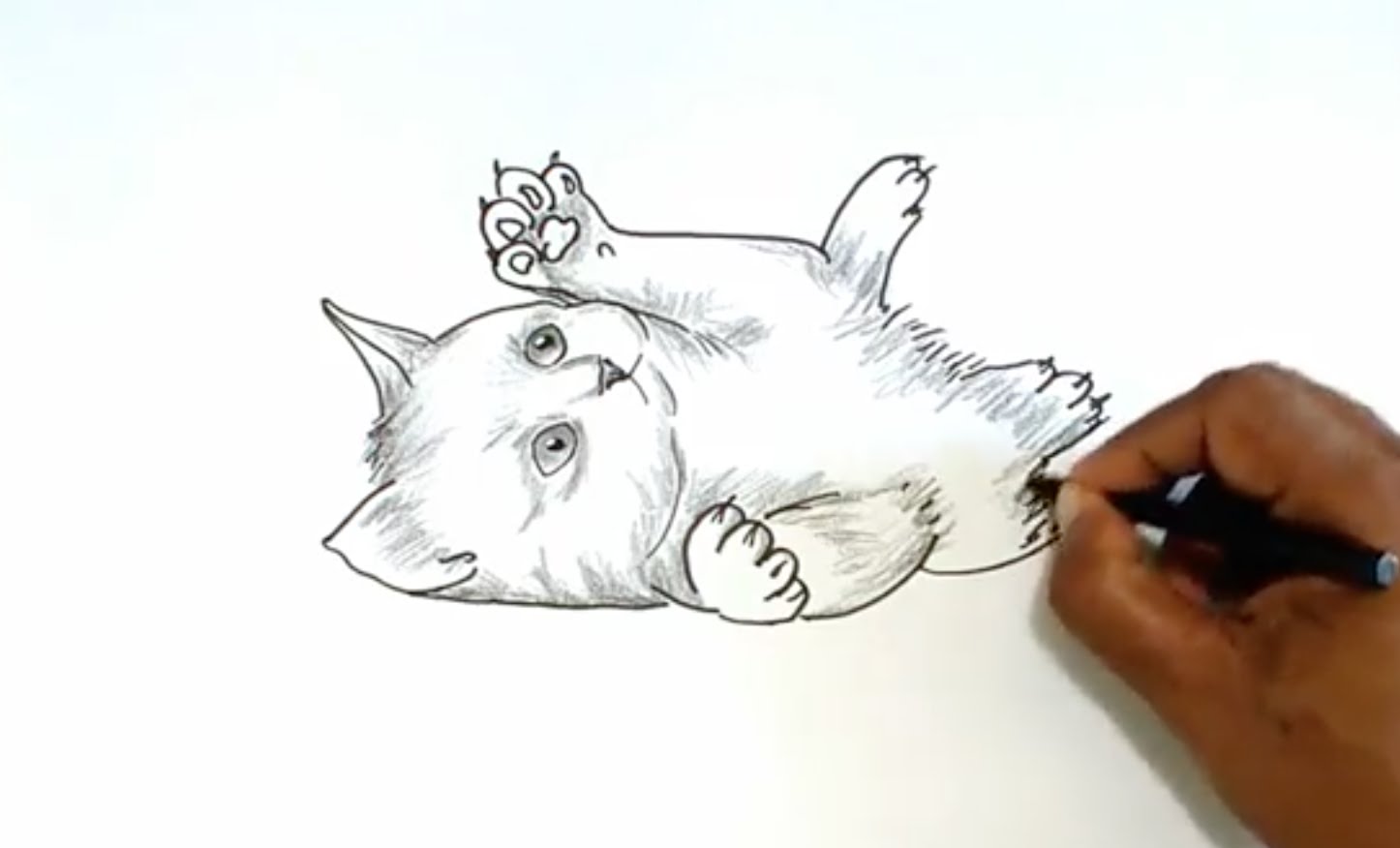Коты легких делают. Рисунки легко. Кот для рисования. Рисунок легкий. Рисунки котов.