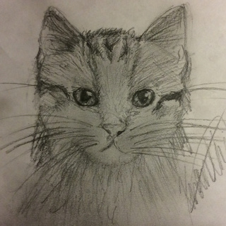 320x320 I Drew My Kitten - Kitten Sketch