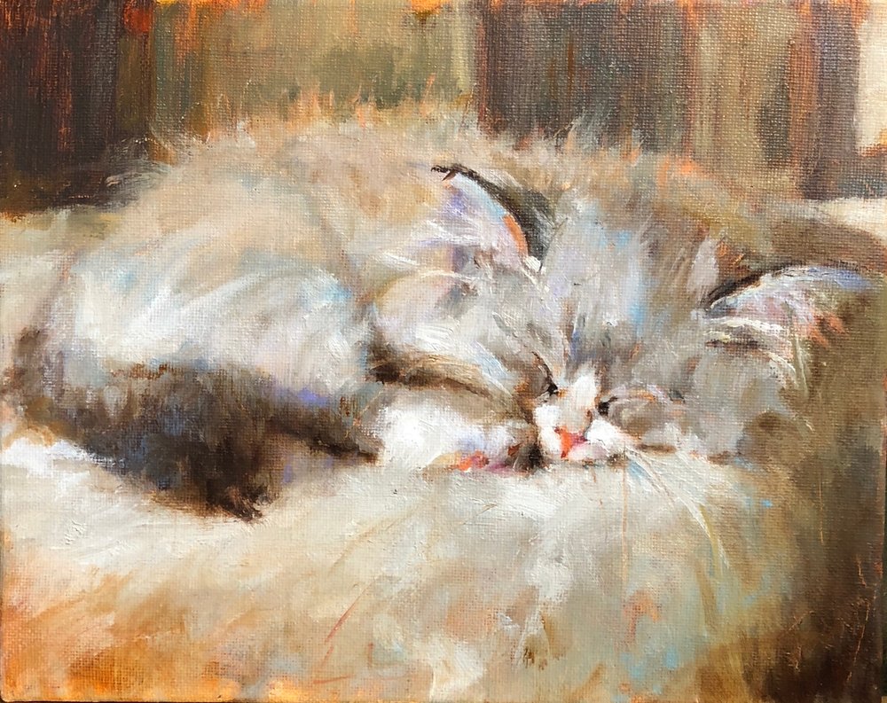 1000x793 Kitten Sketch Jenny Buckner - Kitten Sketch