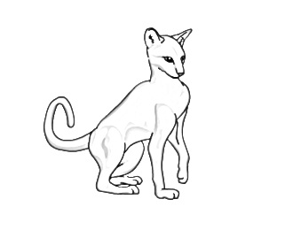 321x260 Kitten Sketch By Thelonelywolf - Kitten Sketch