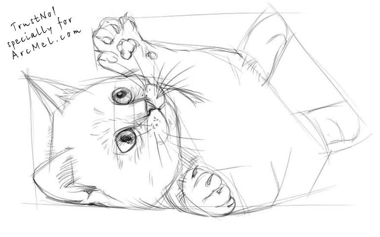 768x480 How To Draw A Kitten Step 3 Art Drawings Drawing - Kitten Sketch Step By Step