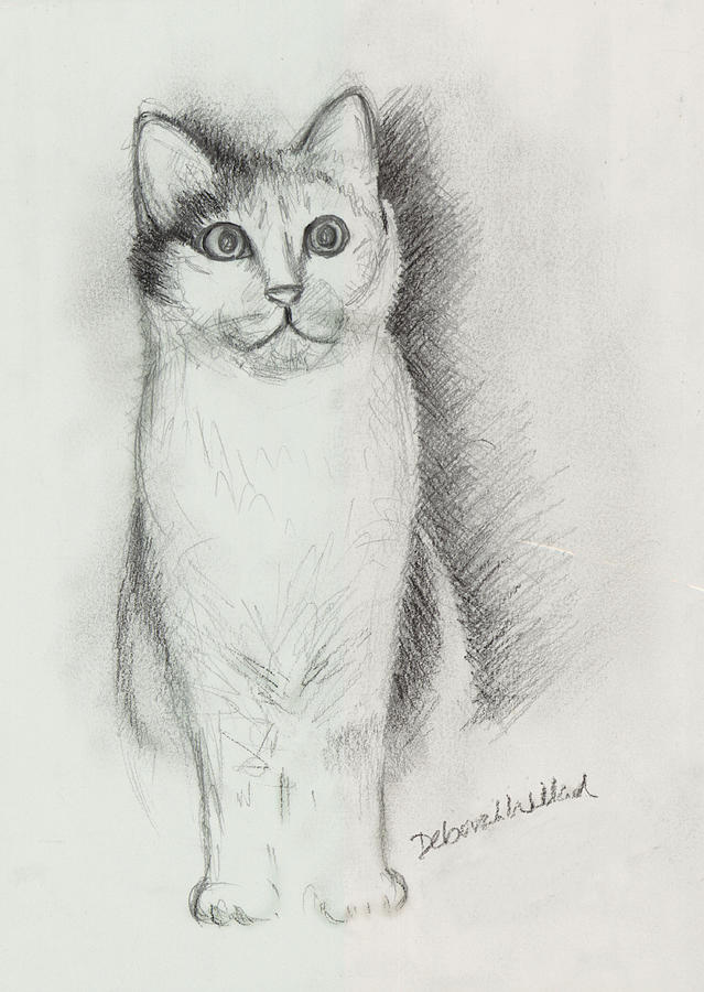 639x900 Kitty Cat Drawing By Deborah Willard - Kitty Cat Sketch