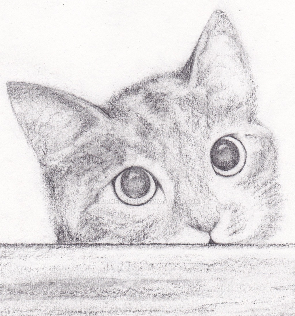 1024x1096 Kitty Sketch - Kitty Sketch
