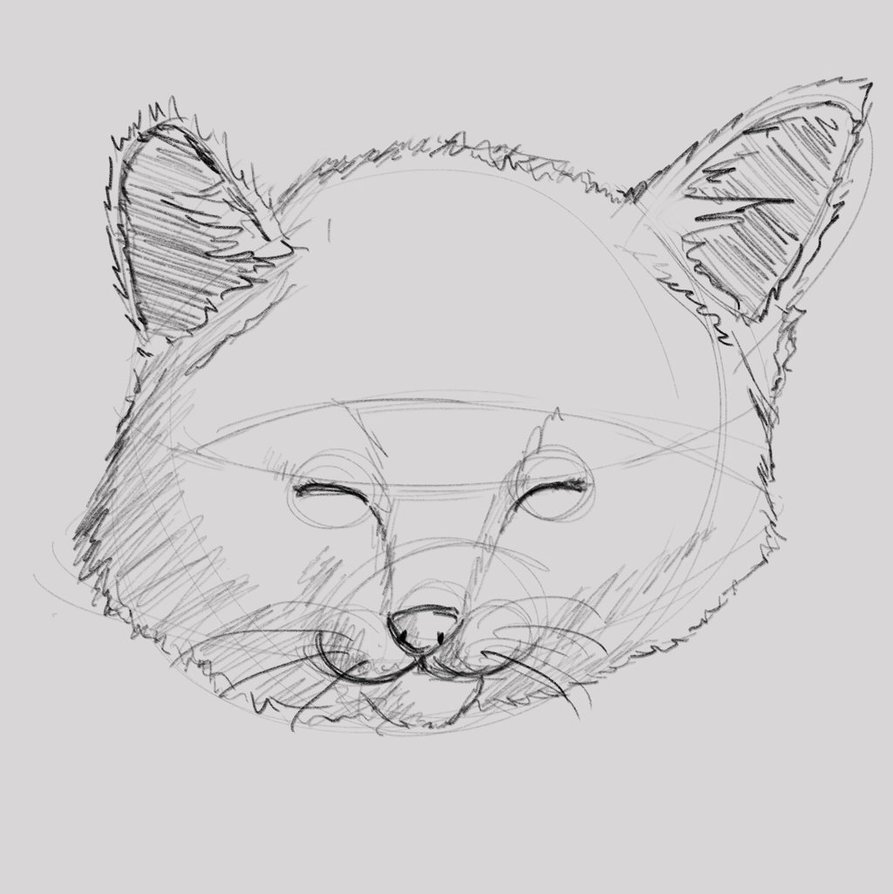 893x894 Kitty Sketch By Rhoviart - Kitty Sketch