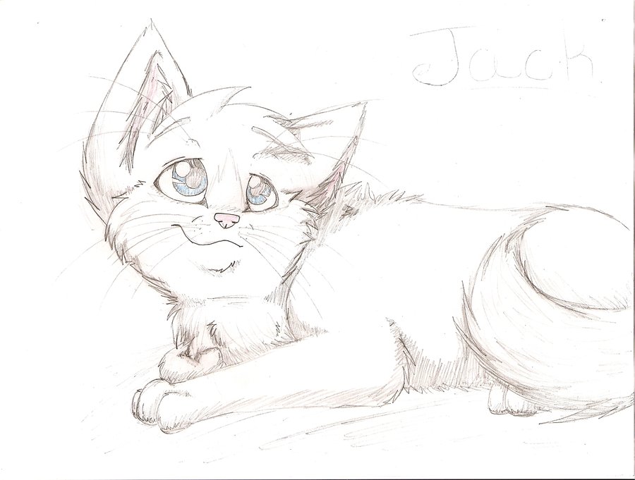 900x681 Kitty Sketch By Superathena - Kitty Sketch