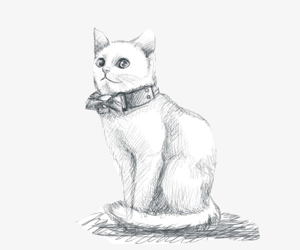 600x499 Sketch Cat, Cat Clipart, High Cold Cat, Sketch Kitty Png Image And - Kitty Sketch