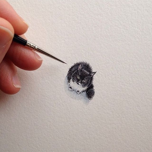 640x640 Teeny Tiny Kitty Sketch Pics - Kitty Sketch