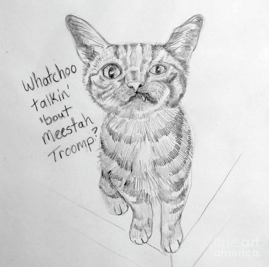 900x896 Troomp Kitty Sketch Drawing By Susan Paquette - Kitty Sketch