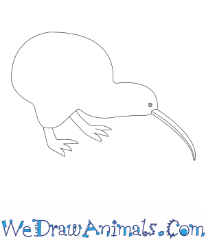 300x350 How To Draw A Kiwi - Kiwi Bird Sketch
