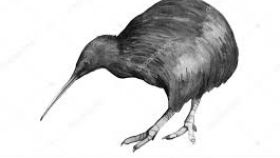 280x158 Kiwi Bird Sketches The Emoji - Kiwi Bird Sketch