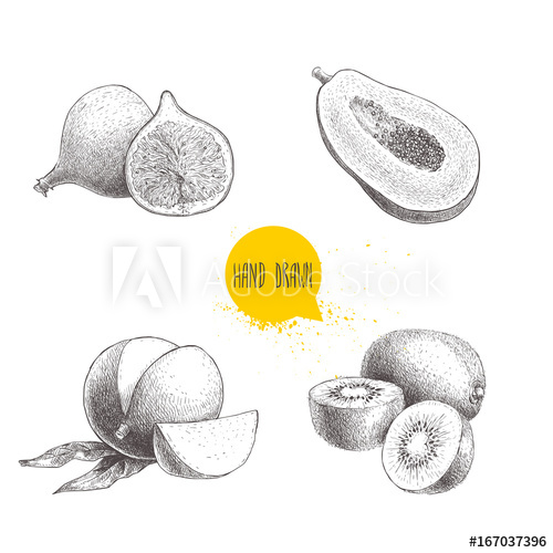 500x500 Hand Drawn Exotic Fruits Set. Fig Fruit, Papaya Cut With Seeds - Kiwi Fruit Sketch