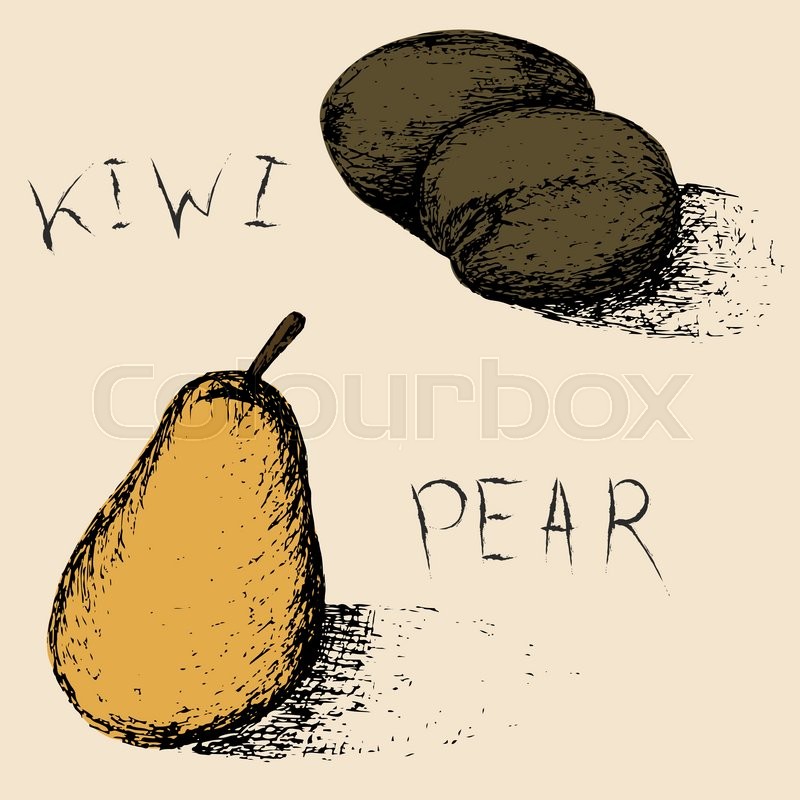 800x800 Hand Drawn Fruits. Summer Fruit Sketch Set. Kiwi And Pear For - Kiwi Fruit Sketch