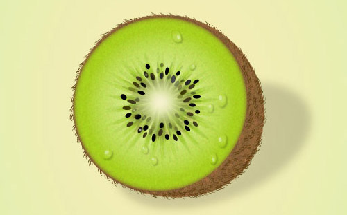 500x311 Illustrator Tutorial How To Draw A Vector Kiwi - Kiwi Fruit Sketch
