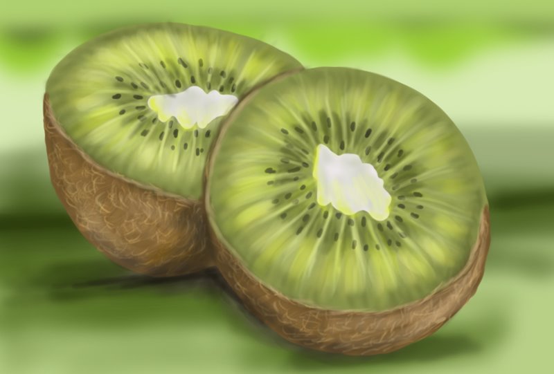 800x541 Learn How To Draw Kiwi Fruit (Fruits) Step By Step Drawing Tutorials - Kiwi Fruit Sketch