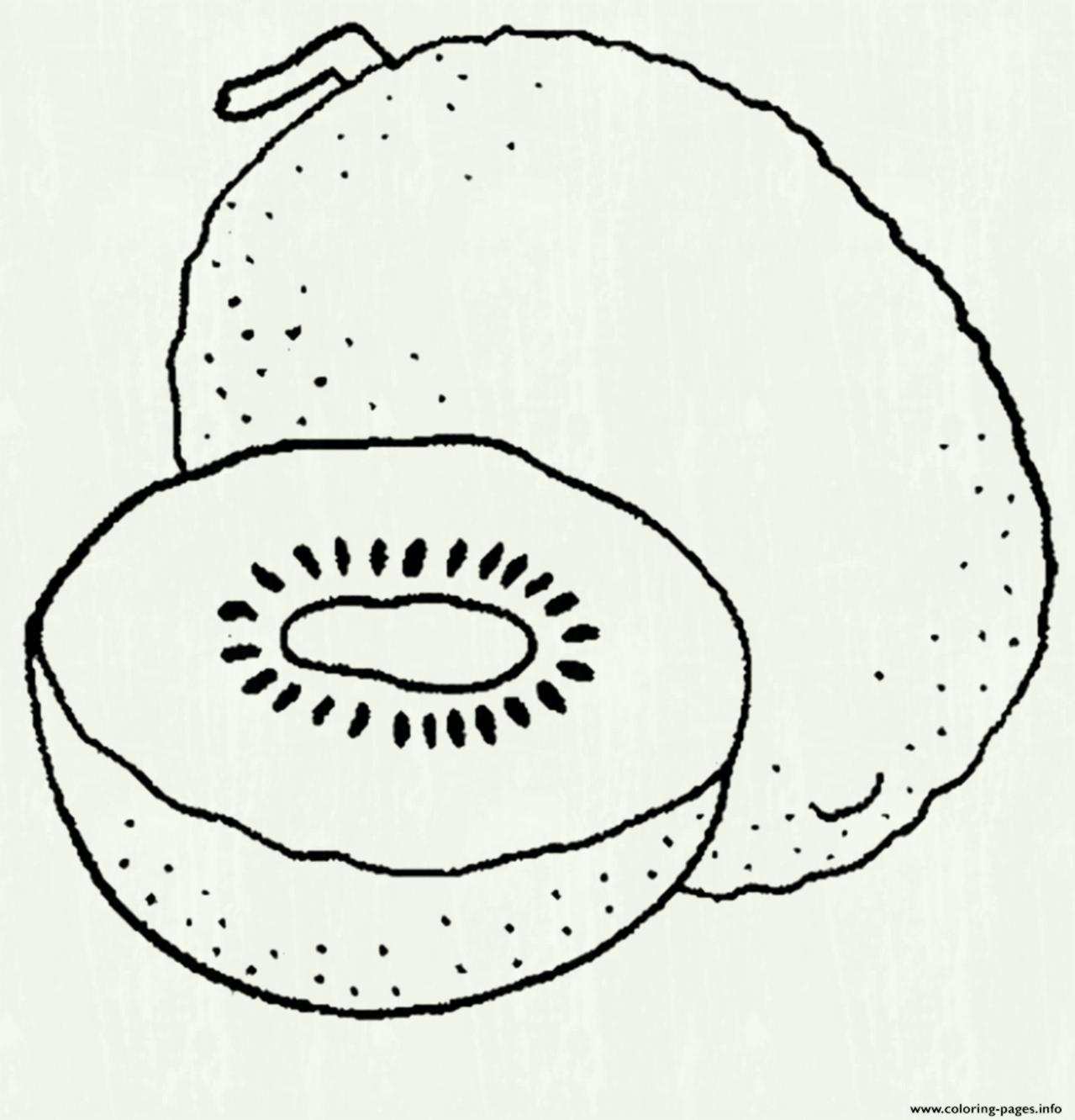 1279x1332 Pencil Drawing White Kiwi Fruit Pictures - Kiwi Fruit Sketch