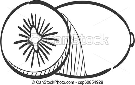 450x285 Sketch Icon - Kiwi Fruit Sketch