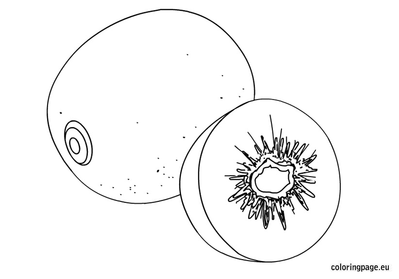 Kiwi Fruit Sketch at PaintingValley.com | Explore collection of Kiwi ...