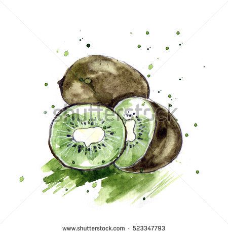 450x461 Watercolor Illustration Of Kiwi Sketch. Hand Drawing. Isolated On - Kiwi Fruit Sketch