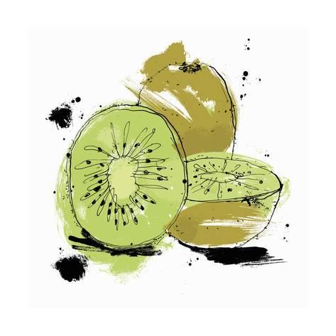 473x473 Whole And Cut Kiwi Fruit Print By Ben Tallon - Kiwi Fruit Sketch