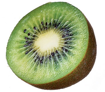 367x320 Healthy Thedailypa - Kiwi Fruit Sketch