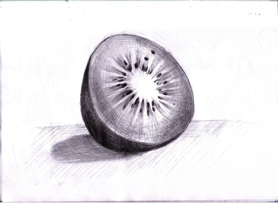 900x657 Kiwi Cross Section Sketch By Pcanjjaxdcd - Kiwi Sketch