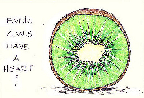 500x342 Kiwi Heart Kiwi Aceo Sketch Finished With Coloured Pencil - Kiwi Sketch