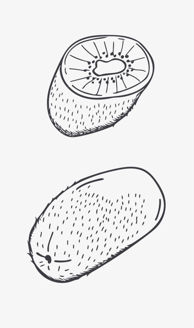 650x1099 Sketch Kiwi, Sketch, Fruit Png And Vector For Free Download - Kiwi Sketch