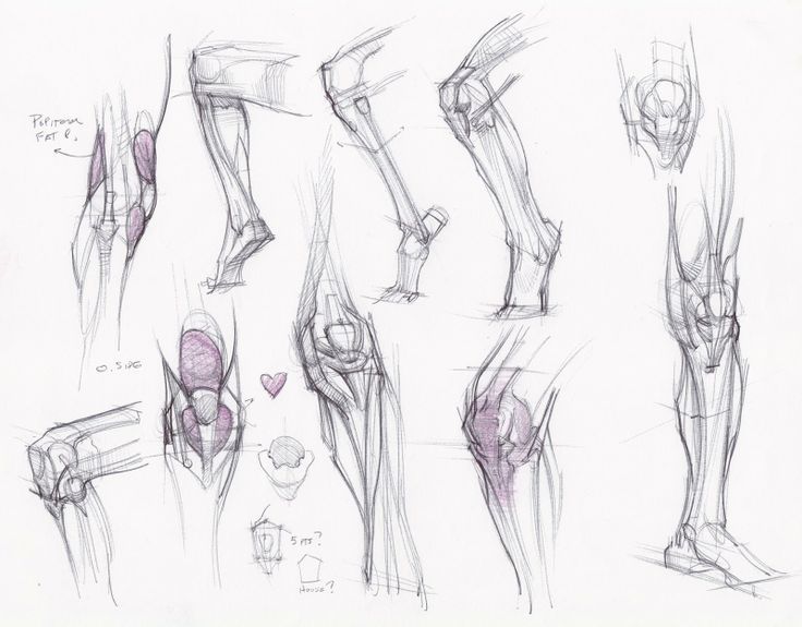 736x575 Image Result For Knee Drawing Drawing Reference - Knee Sketch