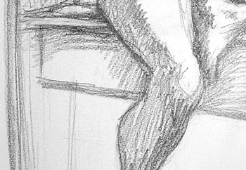 350x242 Jesse Richards - Knee Sketch