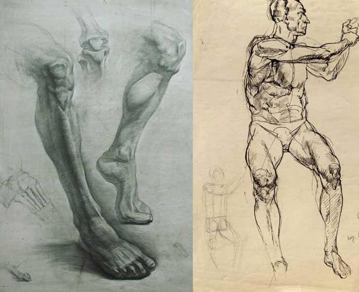 700x570 Knee Anatomy - Knee Sketch