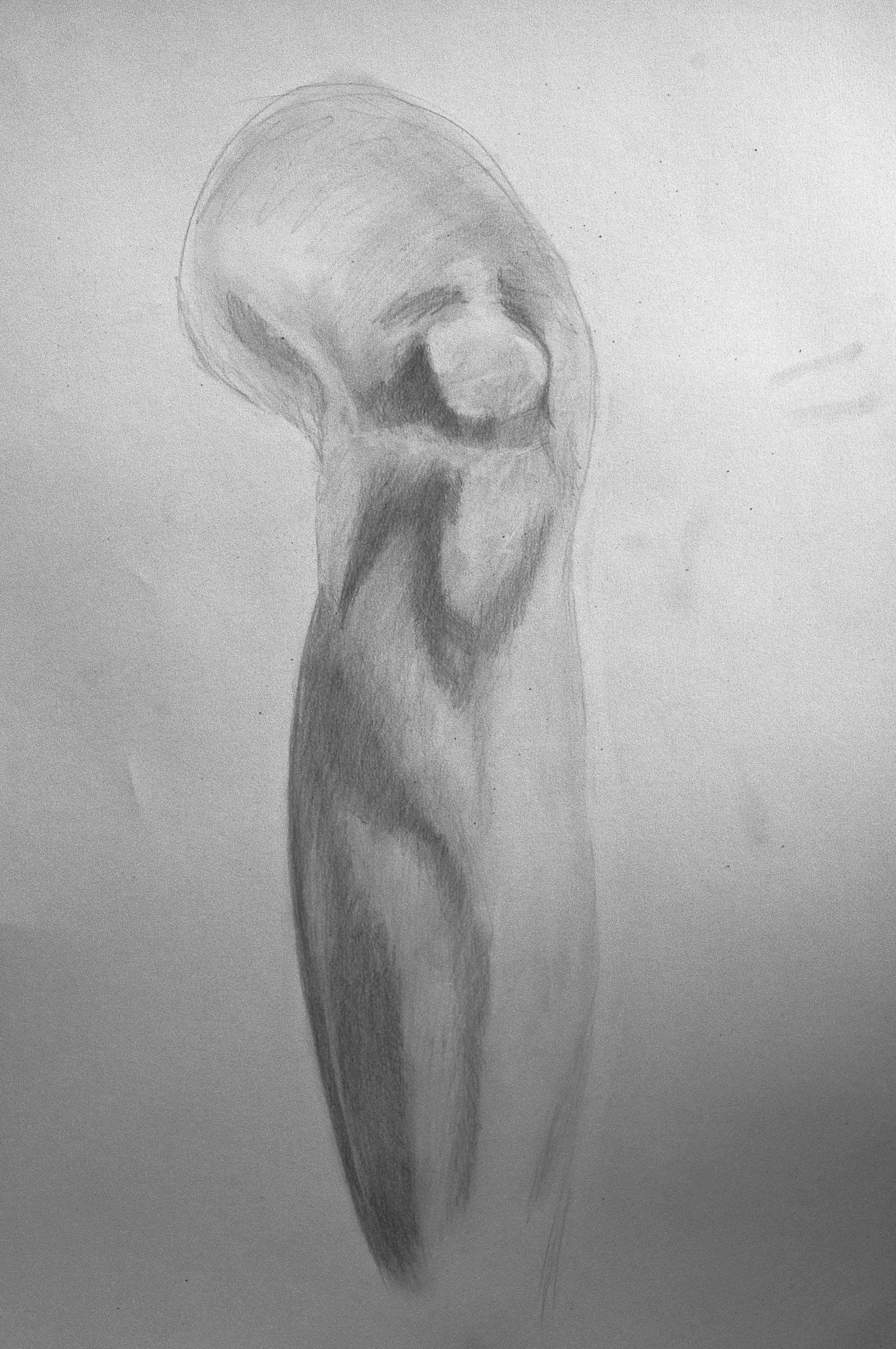 2848x4288 Knee Drawing Made By Mooney - Knee Sketch
