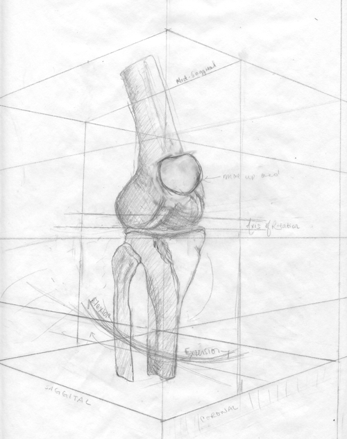 500x632 Knee Sketch A Creative Works From Within - Knee Sketch