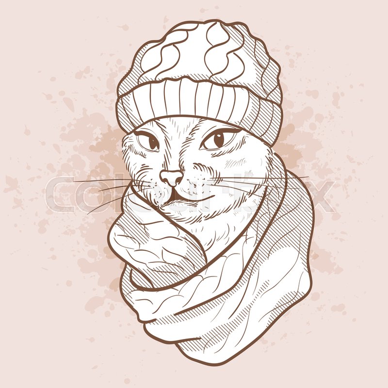 800x800 Vector Sketch Of Elegant Cat Womans Face With Knitting Cap And - Knitting Sketch