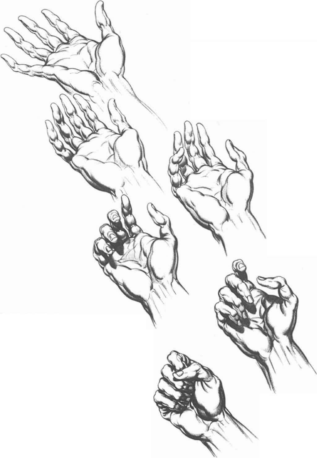 1025x1480 Kinger And Thumb Closure - Knuckles Sketch