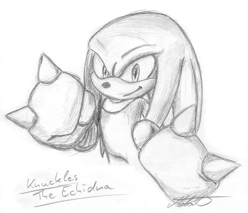 851x730 Knuckles Sketch By Metal Cosxart - Knuckles Sketch