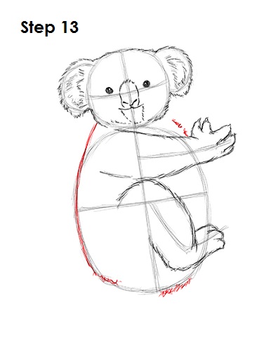 386x500 How To Draw A Koala - Koala Bear Sketch