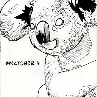 320x320 Images Tagged With - Koala Bear Sketch