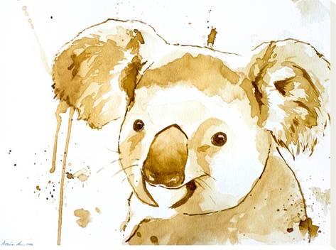 473x352 Coffee Koala Bear Stretched Canvas Print By Allison Gray - Koala Bear Sketch