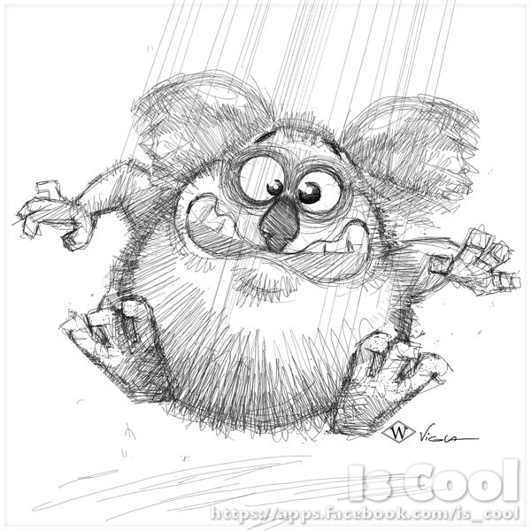 600x600 Koala - Koala Sketch