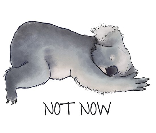 550x469 Koala Sketch - Koala Sketch