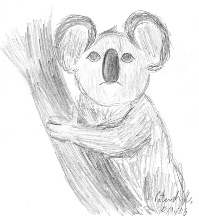 645x700 Koala Sketch By Pr 12 - Koala Sketch
