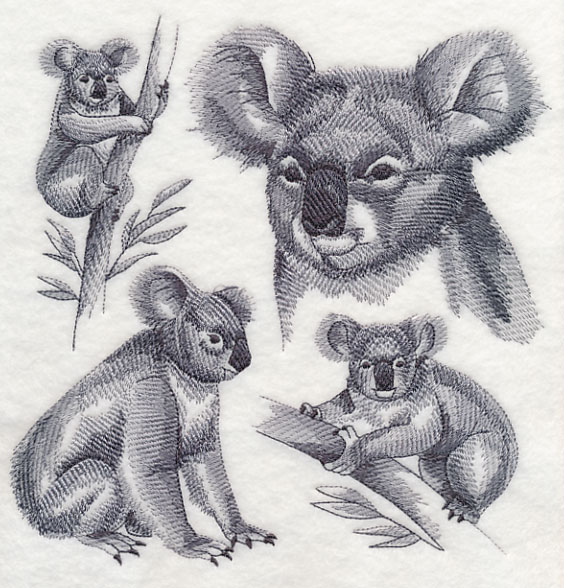 564x588 Machine Embroidery Designs - Koala Sketch