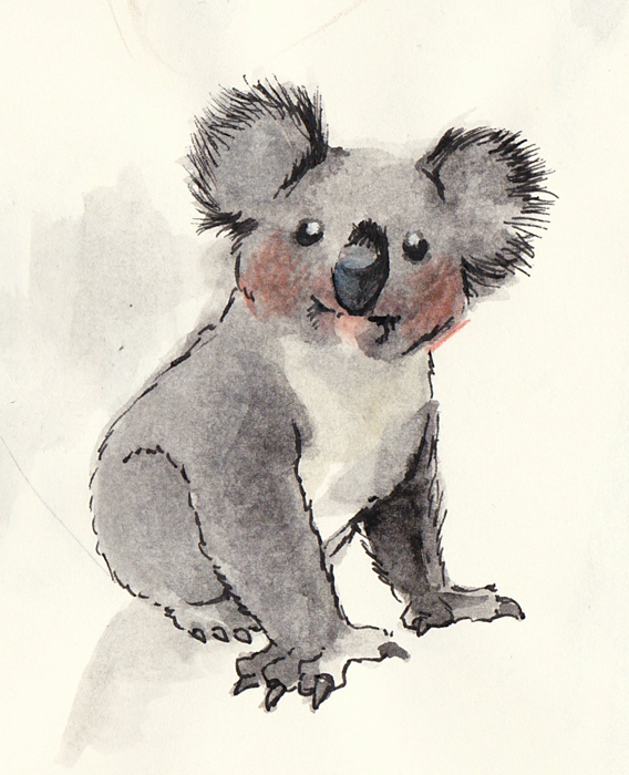 568x700 The Art Of Georgina Romo Koala - Koala Sketch