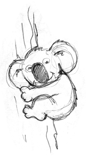 173x313 Cartoon Koala Bear Sketch Art Sketches, Bear - Koala Sketch