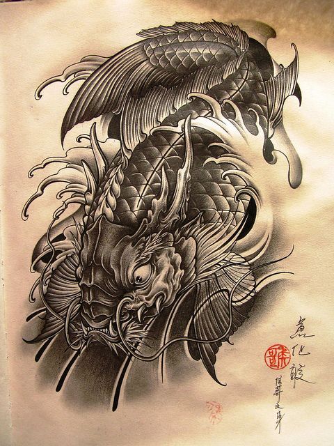 480x640 Koi Dragon Tattoo - Koi Dragon Sketch