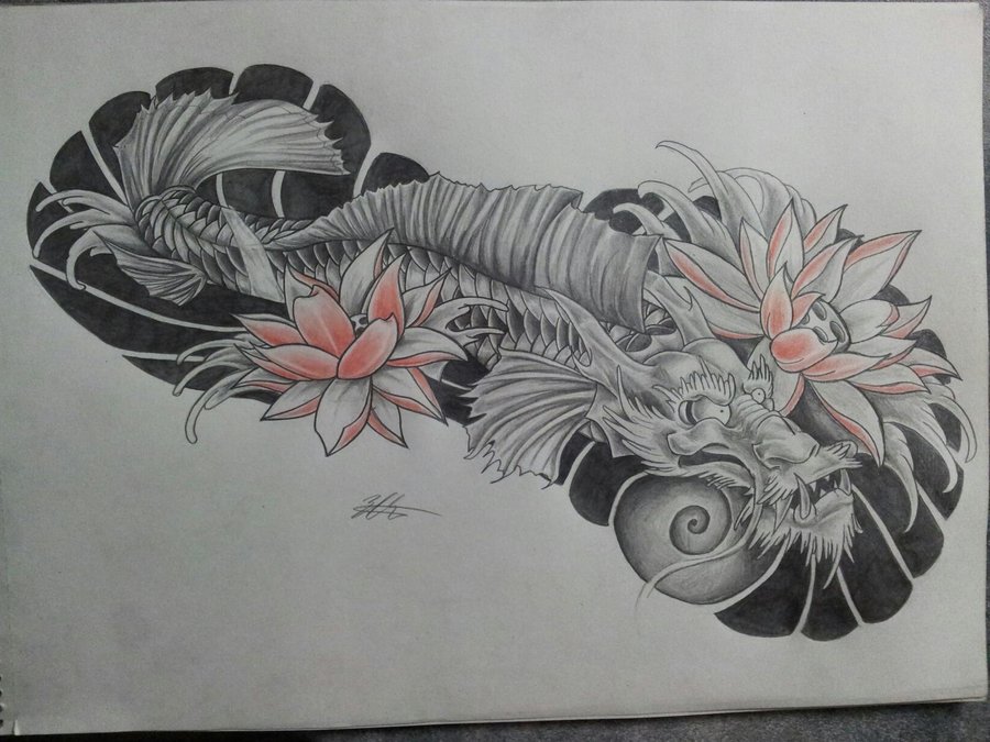 900x675 Koi Dragon By Magnasicparvis - Koi Dragon Sketch